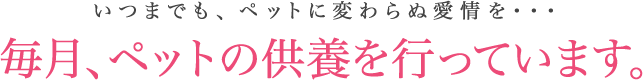 毎月、ペットの供養を行っています。